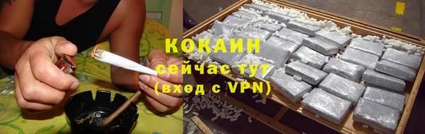 соль ск Белокуриха