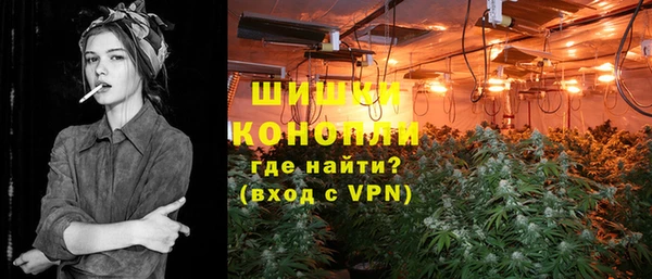 соль ск Белокуриха