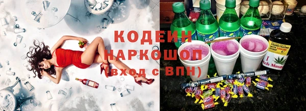 соль ск Белокуриха
