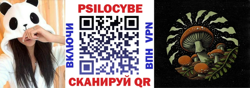hydra зеркало  Гулькевичи  Псилоцибиновые грибы Psilocybe  купить наркотик 